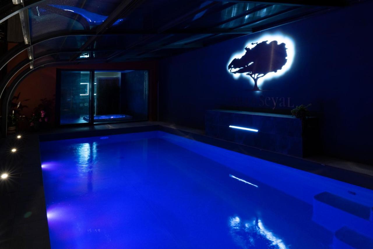 Villa Seyal - Avec Piscine - Jacuzzi - Sauna & Climatisation เลอม็องส์ ภายนอก รูปภาพ
